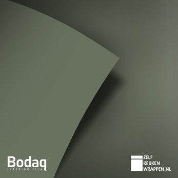 Pond